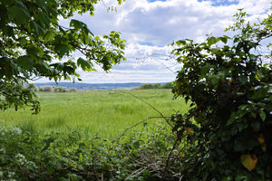 Photo 36- click for photo gallery